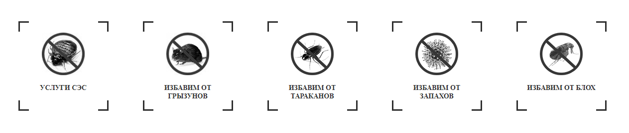 СЭС Служба Уничтожение клопов Обработка от клопов — логотип