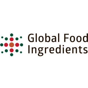 GFI RUS — логотип