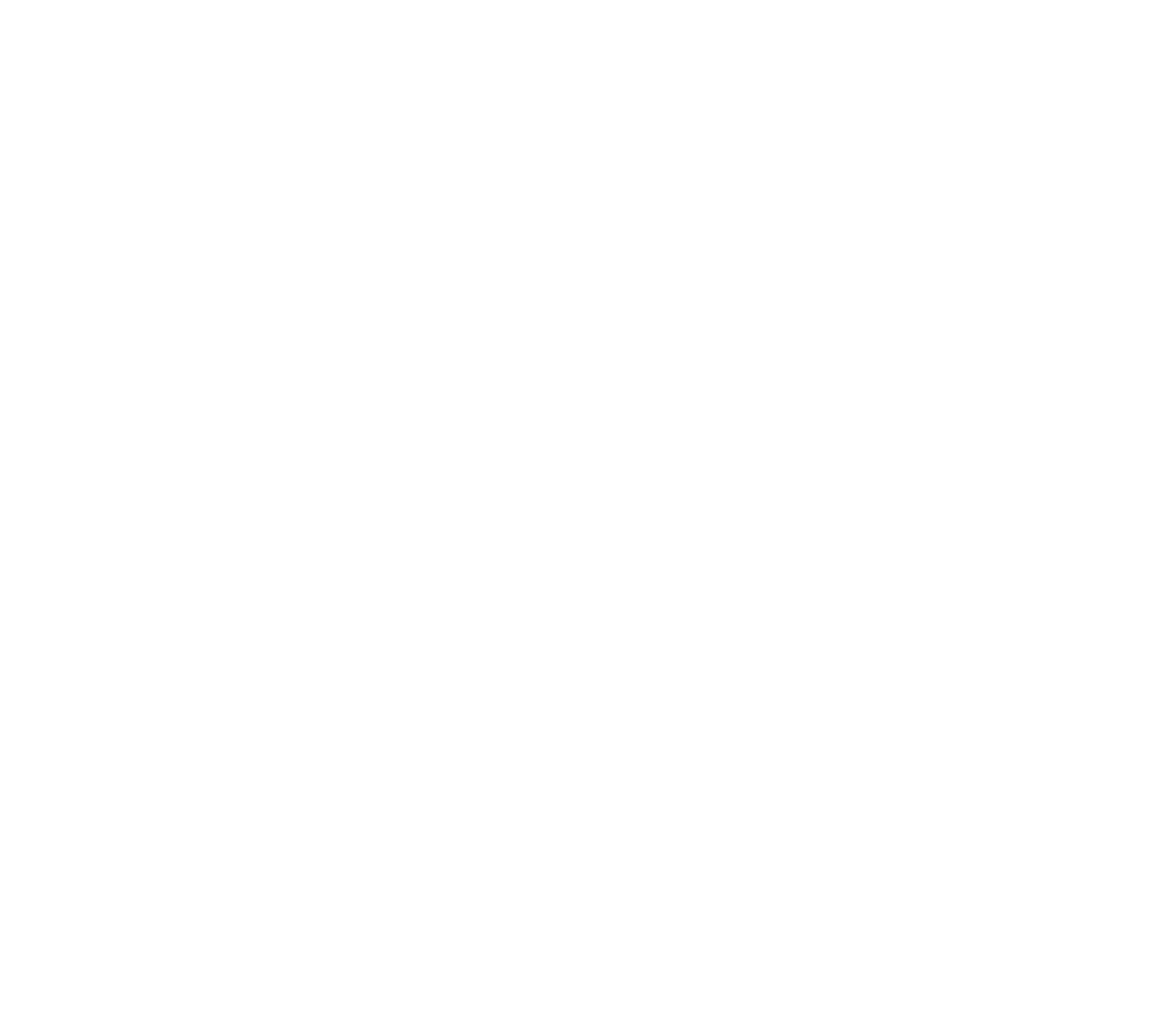 Haus Holz — логотип