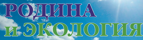 Интернет-магазин СкупкаШин.рф — логотип