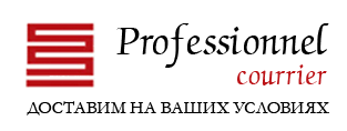Курьерская служба Professionnel — логотип