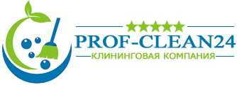 Prof-Clean24 — логотип