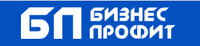 ООО "ВашИнспектор" — логотип