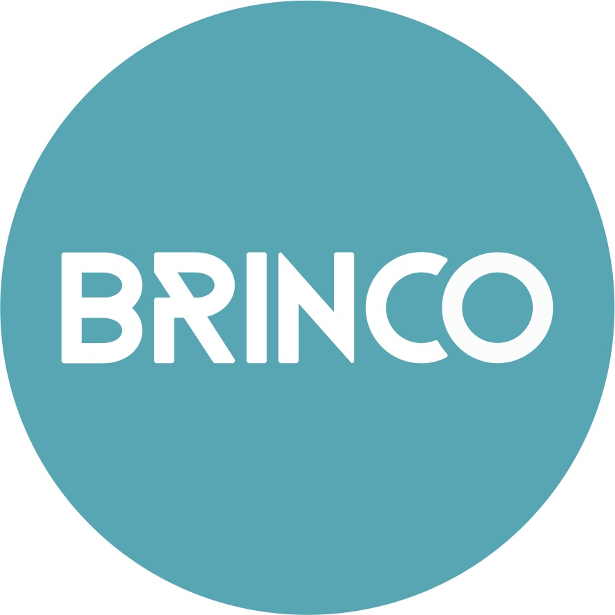 «Модные дети». ТМ BRINCO — логотип