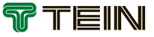 TEIN RUS — логотип