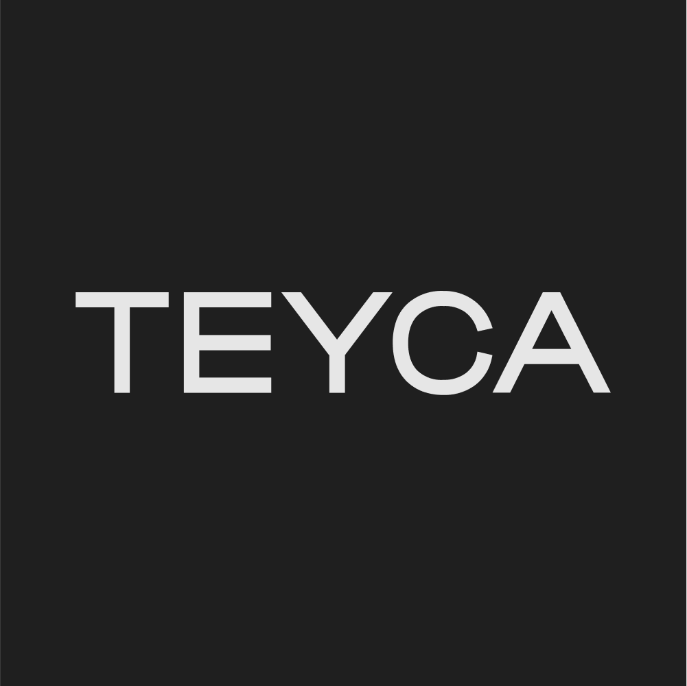 TEYCA — логотип