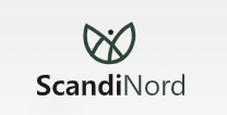 ScandiNord — логотип